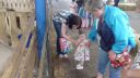 20170527_132304.jpg