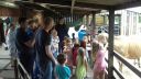 20170527_134842.jpg