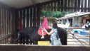 20170527_140631.jpg