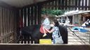 20170527_140711.jpg