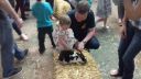 20170527_141737.jpg