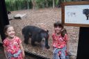 DSC06684.JPG