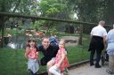 DSC06685.JPG