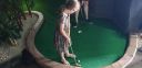 20190603_121158.jpg