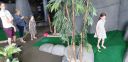 20190603_124315.jpg