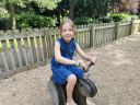 Filename=20190826_132603.jpg
Filesize=761KiB
Dimensions=933x700
Date added=Oct 12, 2024 20190826_132603.jpg