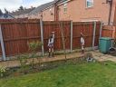 IMG_20200404_100939.jpg