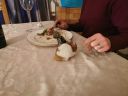 IMG_20200516_212130.jpg