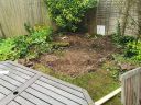 20200713_185231.jpg