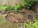 20200713_185237.jpg
