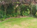 20200701_105050.jpg