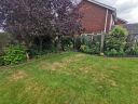 20200701_105053.jpg