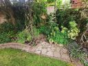 20200701_105110.jpg