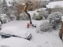 20210124_104353.jpg