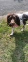 20220717_101829.jpg