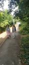 Filename=20220805_104028.jpg
Filesize=319KiB
Dimensions=322x700
Date added=Dec 29, 2024 20220805_104028.jpg
