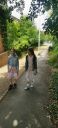 Filename=20220805_104029.jpg
Filesize=245KiB
Dimensions=322x700
Date added=Dec 29, 2024 20220805_104029.jpg