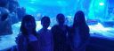 Filename=20220805_140957.jpg
Filesize=723KiB
Dimensions=1520x700
Date added=Dec 29, 2024 20220805_140957.jpg