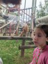 Filename=20220823_142745329.jpg
Filesize=443KiB
Dimensions=527x700
Date added=Dec 06, 2024 20220823_142745329.jpg