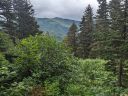 20230809_195736471.jpg