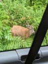 20230810_002726990.jpg