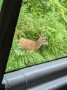 20230810_002727740.jpg