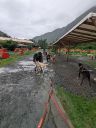 20230810_005427073.jpg