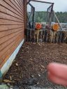 20230812_005505502.jpg