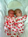 Filename=FB_IMG_1588409934801.jpg
Filesize=373KiB
Dimensions=525x700
Date added=Sep 05, 2024 FB_IMG_1588409934801.jpg