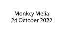 MonkeyMelia.jpg