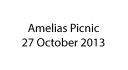 AmeliasPicnic.jpg