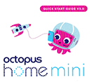 Octopus-Home-Mini.jpg