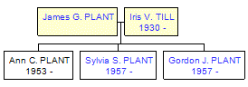 Mini tree diagram
