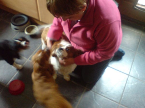 [url=http://stevejjones.co.uk/graphics/albums/images/DSC00353.JPG]Archie[/url]
