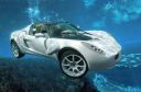 submerged.jpg