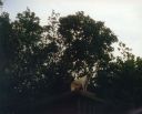 PR001965.jpg
