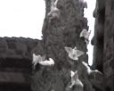 uvs120703-028.jpg