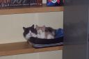 000_0027.jpg