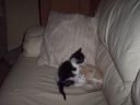 100_0330.jpg