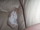 100_0397.jpg