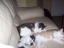 100_0401.jpg