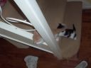 100_0403.jpg