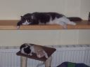 100_0406.jpg