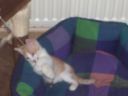 100_0408.jpg