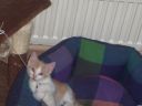100_0409.jpg