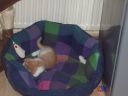 100_0413.jpg