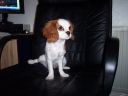 100_0008.JPG