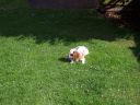 100_0035.JPG