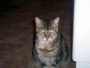 100_0014.JPG