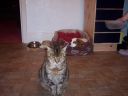 100_0015.JPG
